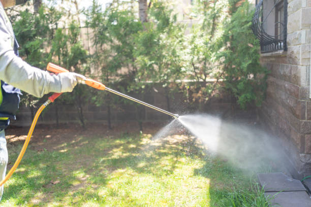 Reliable West Hills, PA Pest Control Solutions